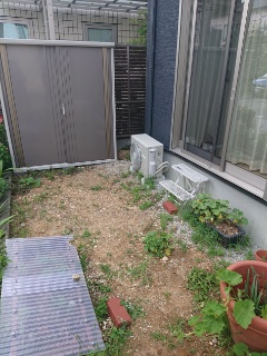 Before画像